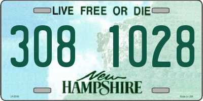 NH license plate 3081028