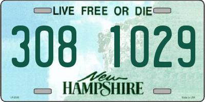 NH license plate 3081029