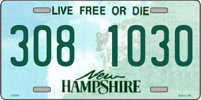 NH license plate 3081030