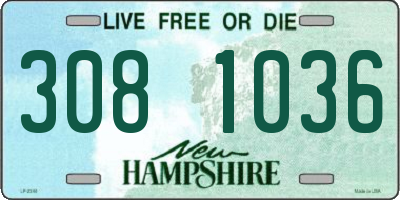 NH license plate 3081036