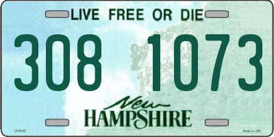 NH license plate 3081073