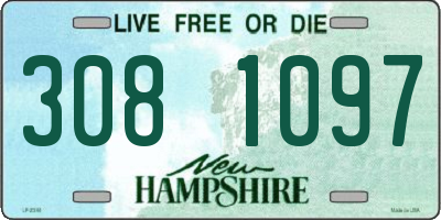 NH license plate 3081097