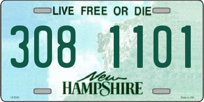 NH license plate 3081101