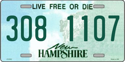 NH license plate 3081107