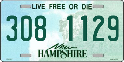 NH license plate 3081129