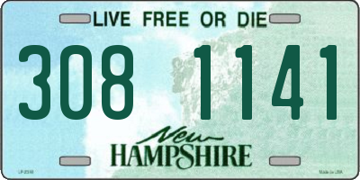 NH license plate 3081141