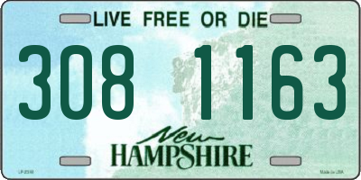 NH license plate 3081163