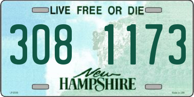 NH license plate 3081173