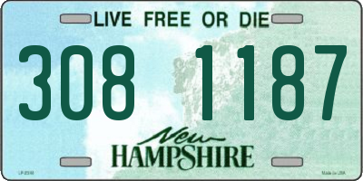 NH license plate 3081187