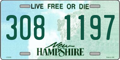 NH license plate 3081197