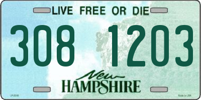 NH license plate 3081203