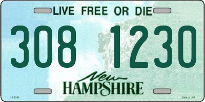 NH license plate 3081230
