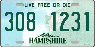 NH license plate 3081231