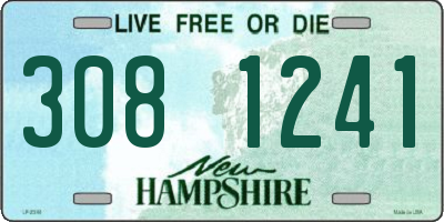 NH license plate 3081241