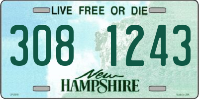 NH license plate 3081243