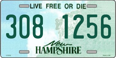 NH license plate 3081256