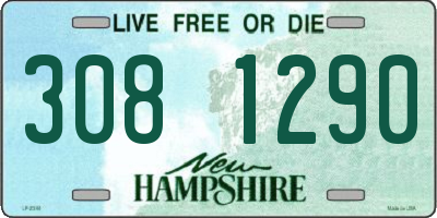 NH license plate 3081290