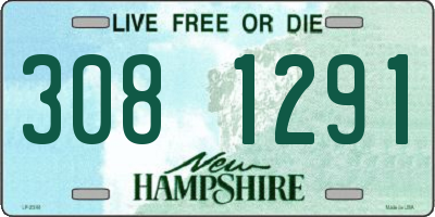 NH license plate 3081291