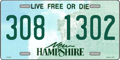 NH license plate 3081302