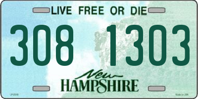 NH license plate 3081303
