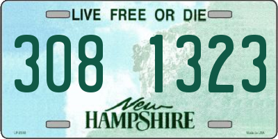 NH license plate 3081323