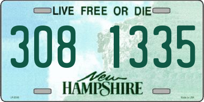 NH license plate 3081335