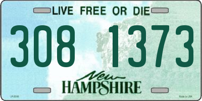 NH license plate 3081373