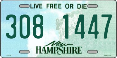 NH license plate 3081447