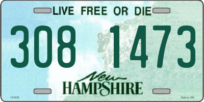 NH license plate 3081473
