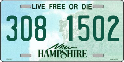 NH license plate 3081502