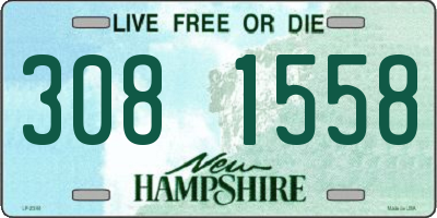 NH license plate 3081558