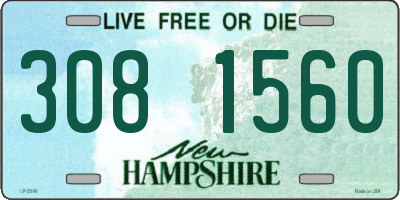 NH license plate 3081560