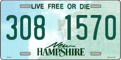 NH license plate 3081570