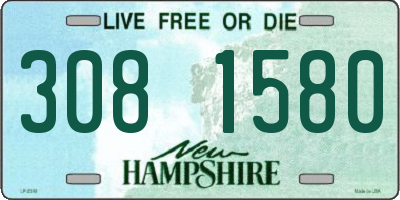 NH license plate 3081580