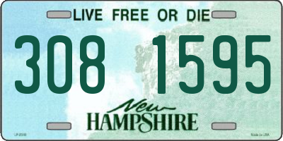 NH license plate 3081595