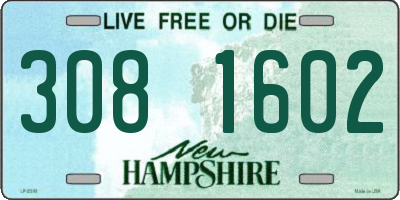 NH license plate 3081602