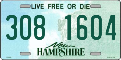 NH license plate 3081604