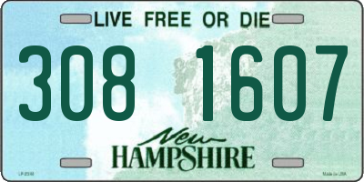 NH license plate 3081607