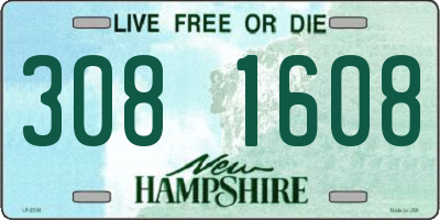 NH license plate 3081608