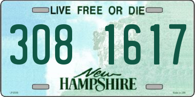 NH license plate 3081617