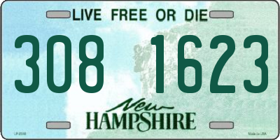 NH license plate 3081623
