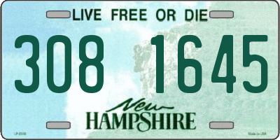 NH license plate 3081645