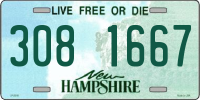 NH license plate 3081667