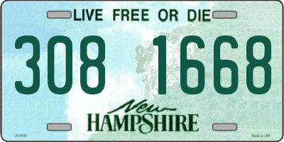 NH license plate 3081668