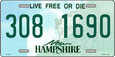 NH license plate 3081690