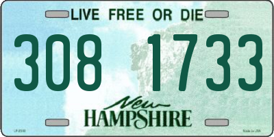 NH license plate 3081733