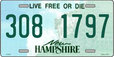 NH license plate 3081797