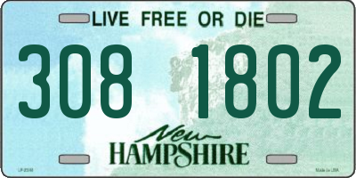 NH license plate 3081802