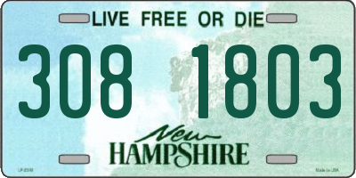 NH license plate 3081803