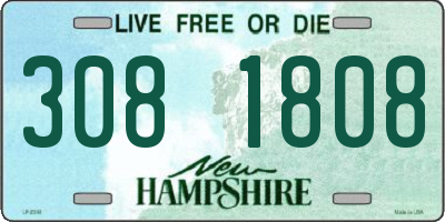 NH license plate 3081808